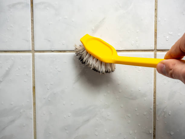 Best Home Mold Removal  in San Felipe, TX
