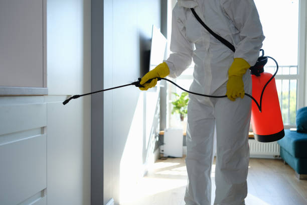 Best Crawl Space Mold Removal  in San Felipe, TX