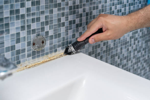 Best Toxic Mold Removal  in San Felipe, TX